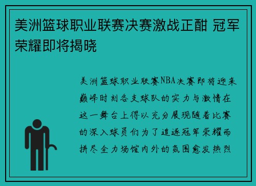 美洲篮球职业联赛决赛激战正酣 冠军荣耀即将揭晓