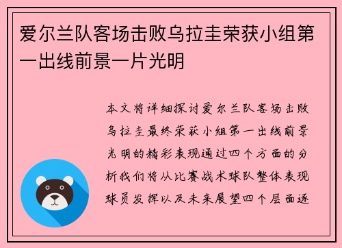 爱尔兰队客场击败乌拉圭荣获小组第一出线前景一片光明